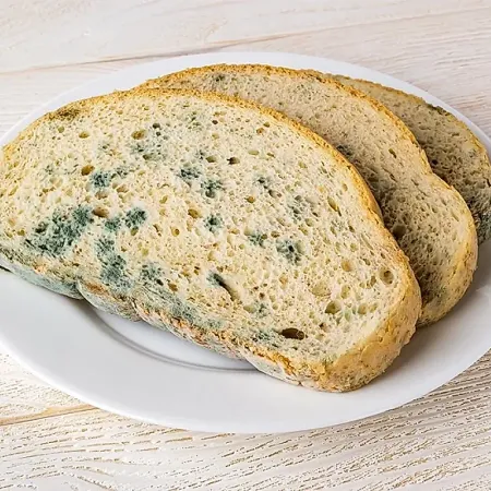 опасный хлеб и плесень