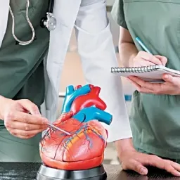 Привычки перед сном и здоровье сердца