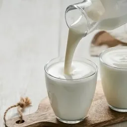 Раздел о кисломолочных продуктах