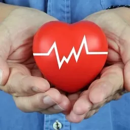 Влияние насыщенных жиров на сердце