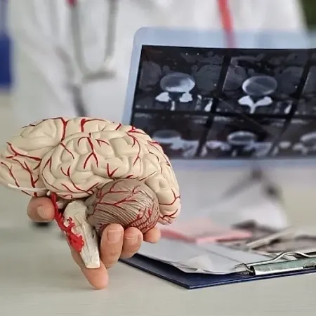 Питание и риск деменции