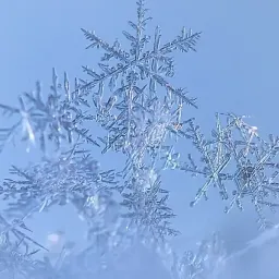 Влияние резкой смены погоды на здоровье