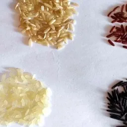 Выбор риса по типу и пользе