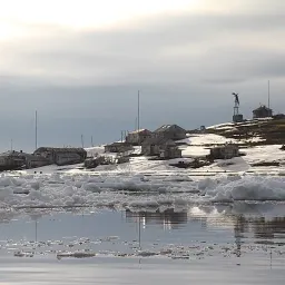 Настройка организма на зиму в Арктике