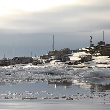 Настройка организма на зиму в Арктике