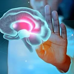 Стресс и здоровье мозга