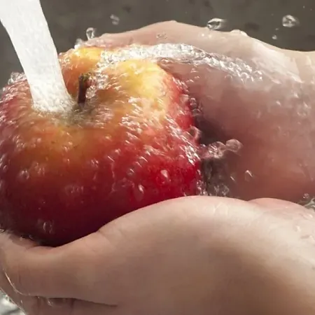 Польза яблочной кожуры