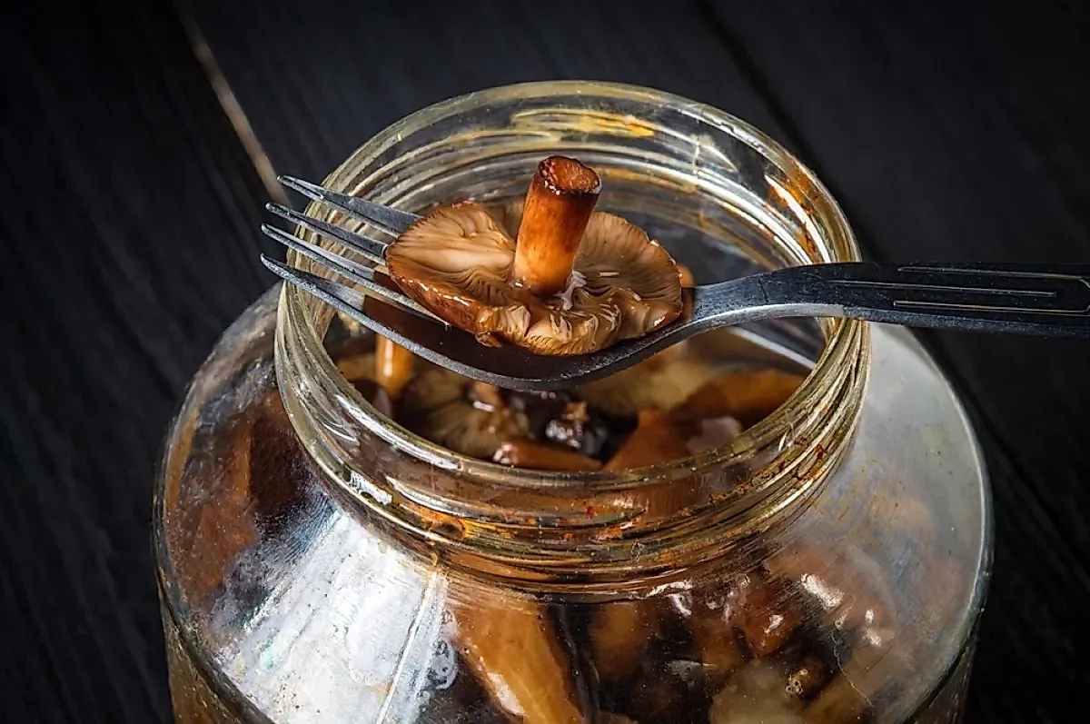 Защита от ботулизма в домашних консервах