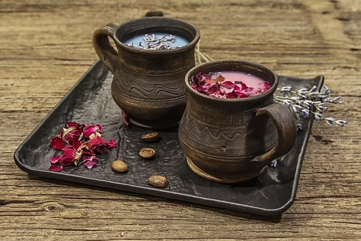 Съедобные цветы: польза и рецепты