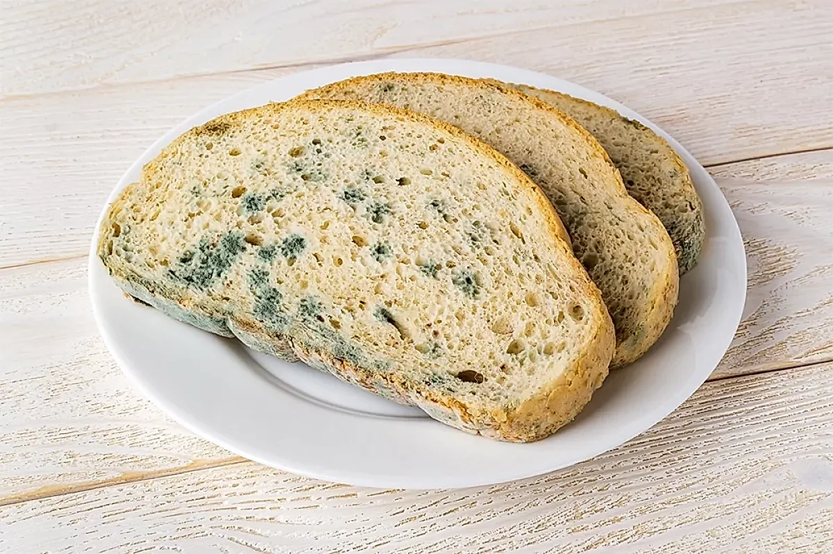 опасный хлеб и плесень