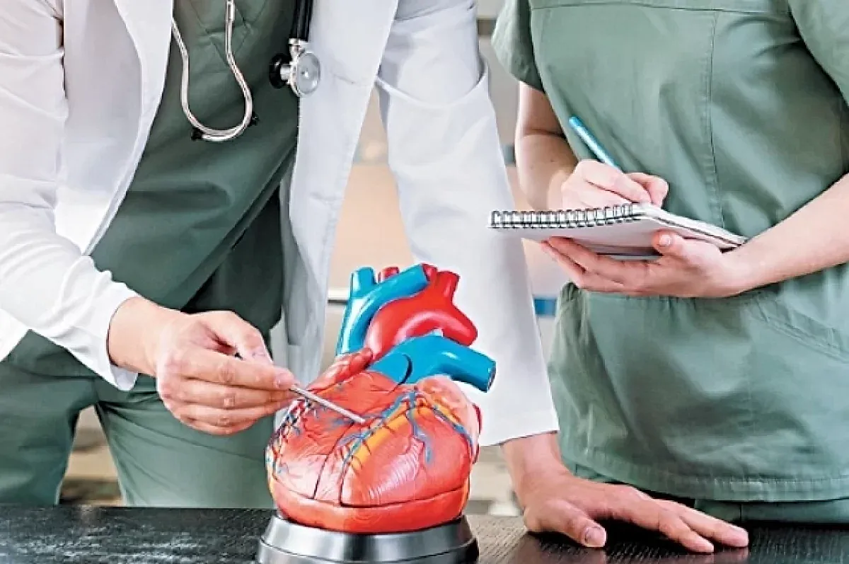 Привычки перед сном и здоровье сердца