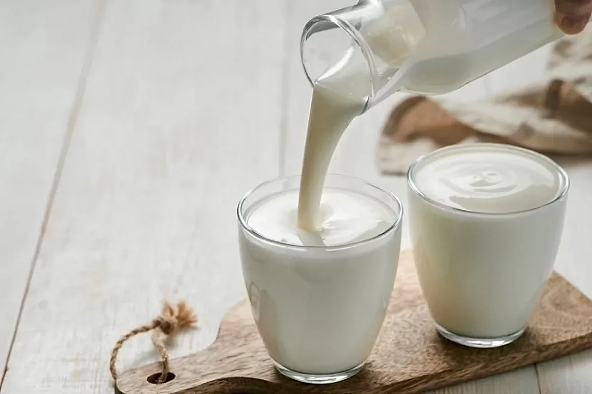 Раздел о кисломолочных продуктах