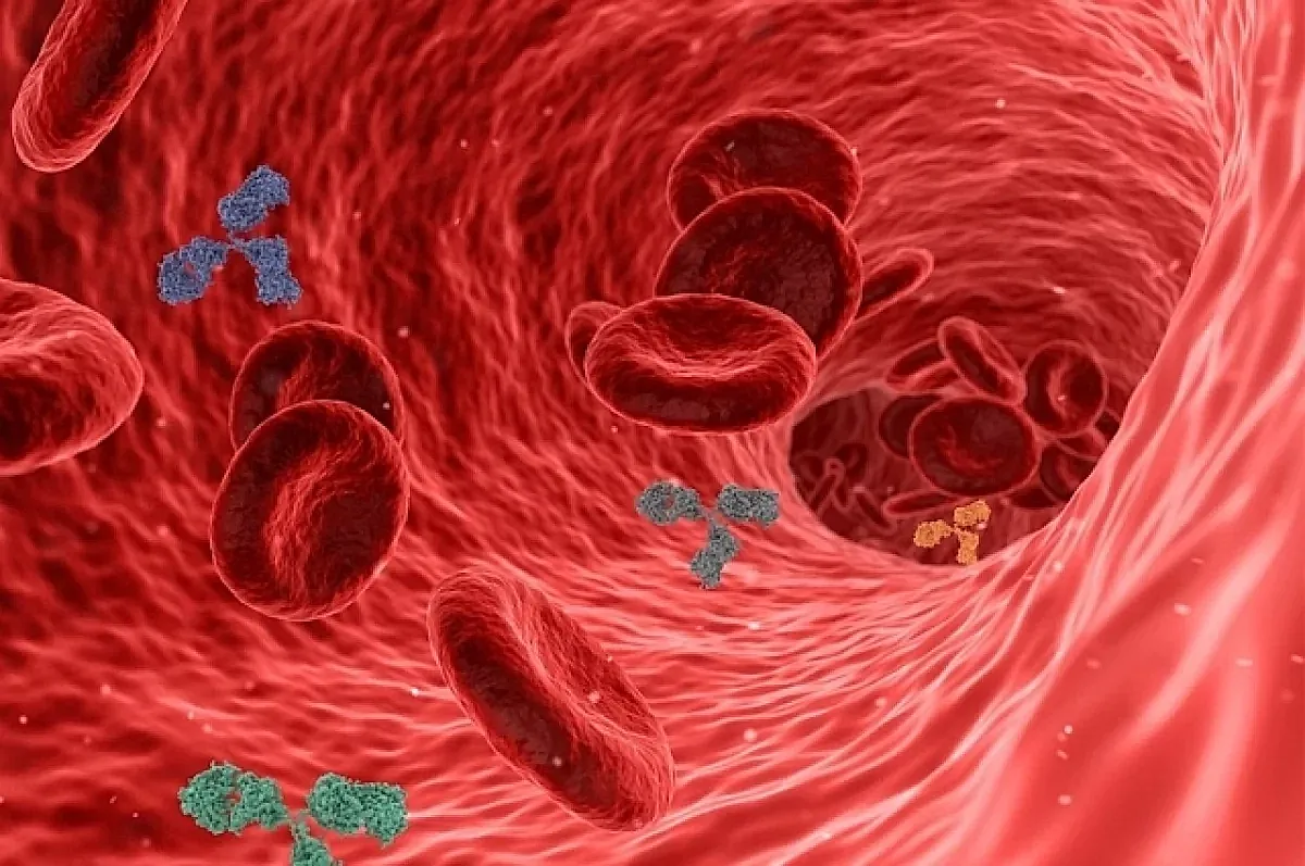 Правила поддержки иммунитета