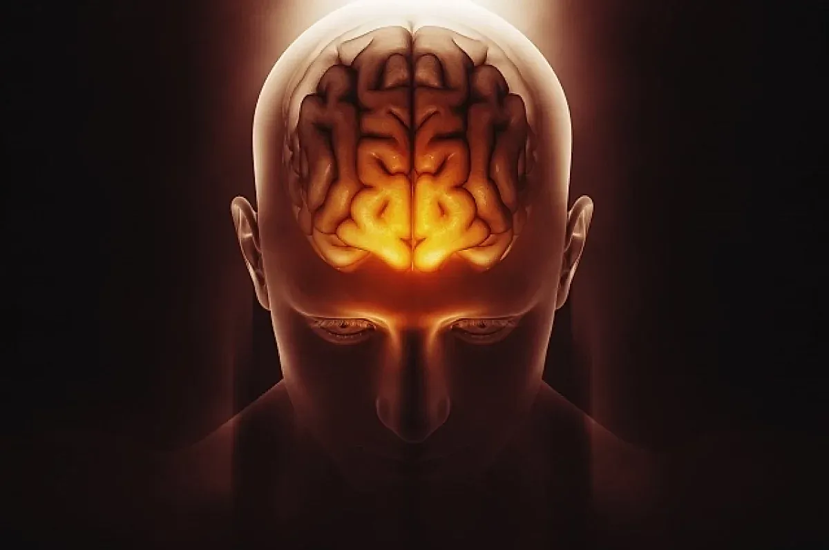 Мозг после инсульта и его способность к самовосстановлению