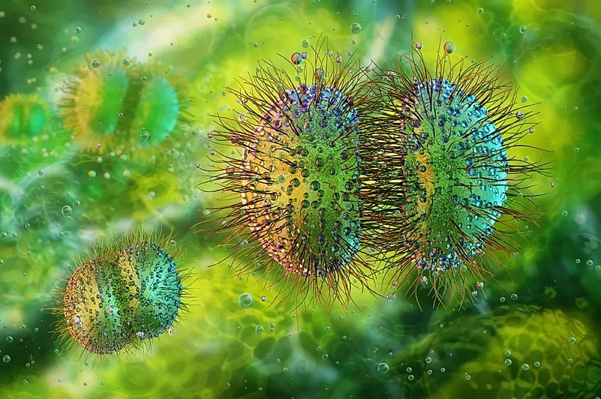 Ранние признаки менингита