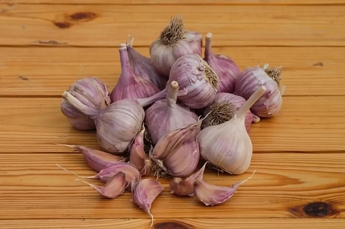 Чесночный экстракт против кариеса