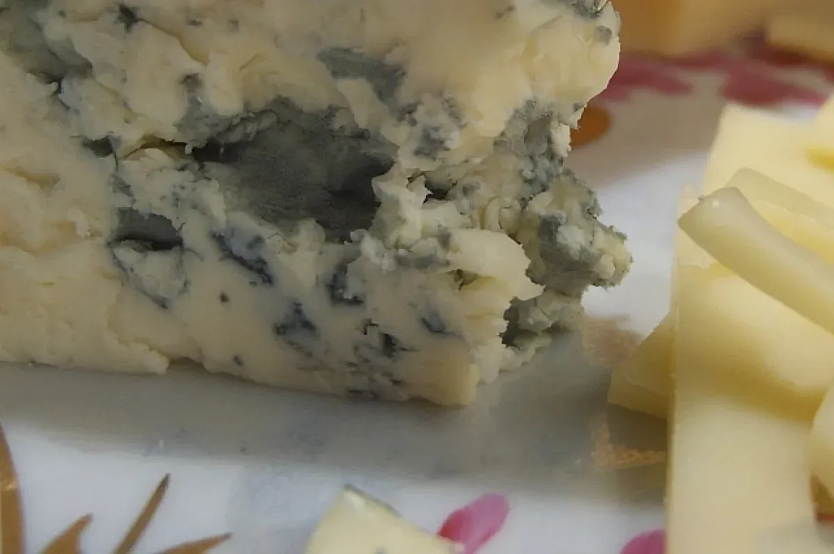 опасности сыра с плесенью