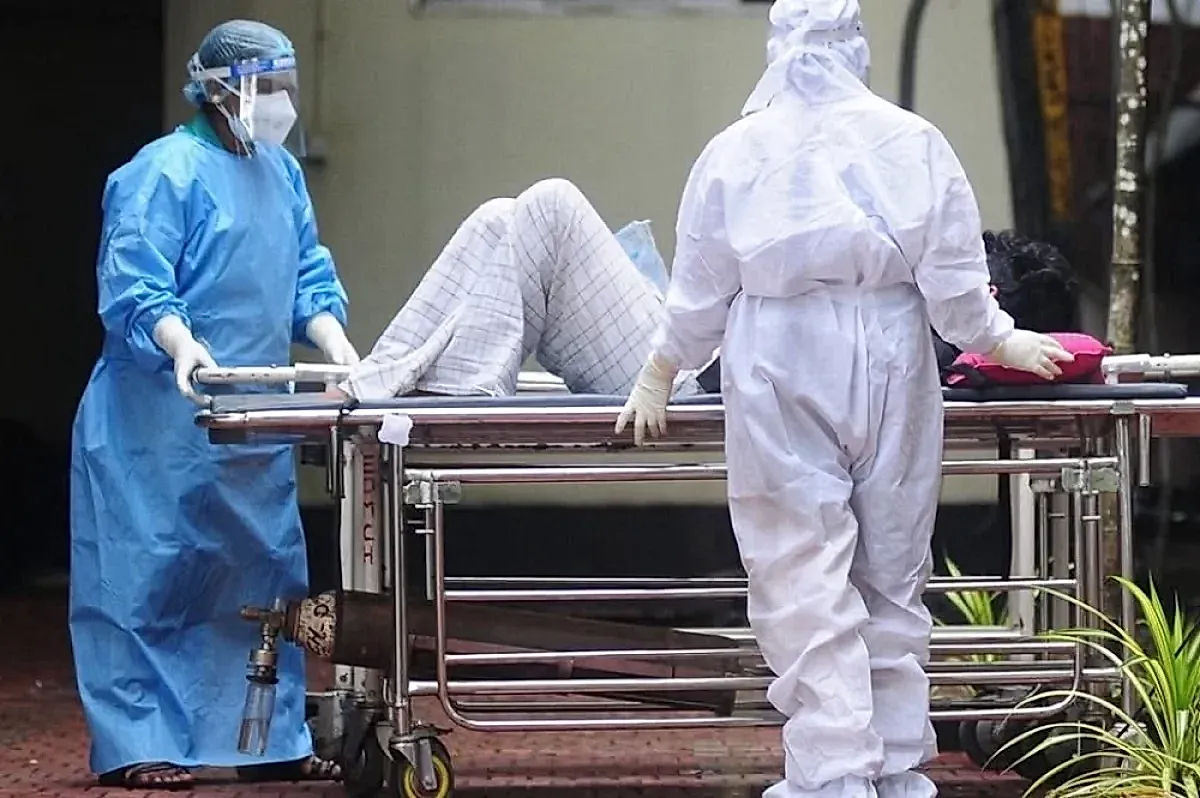 Вирус Нипах и риски