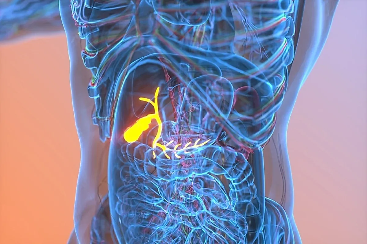 Застой желчи и рак