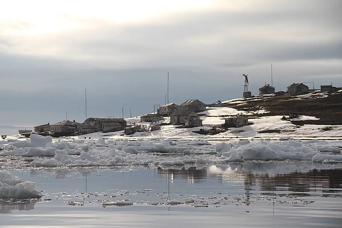 Настройка организма на зиму в Арктике