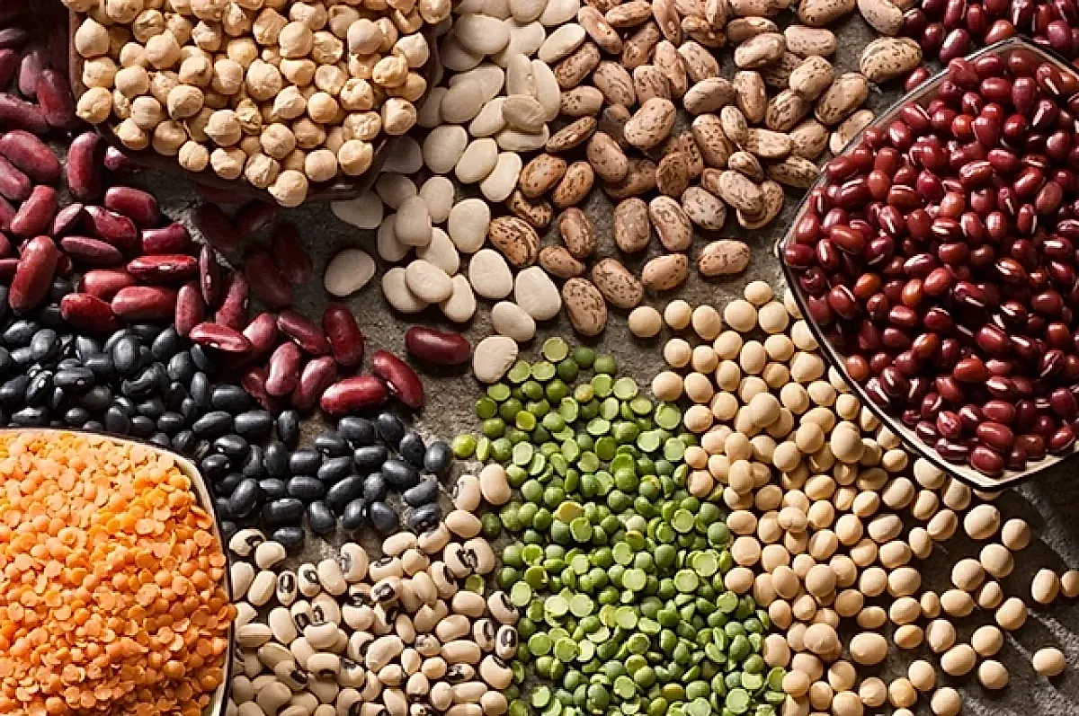 Фасоль и чечевица – продукты долголетия