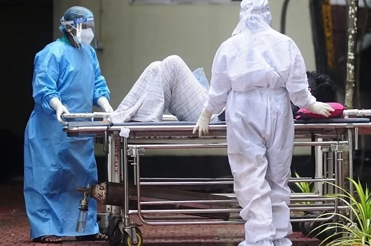 Опасность сырых фруктов при вирусе Нипах