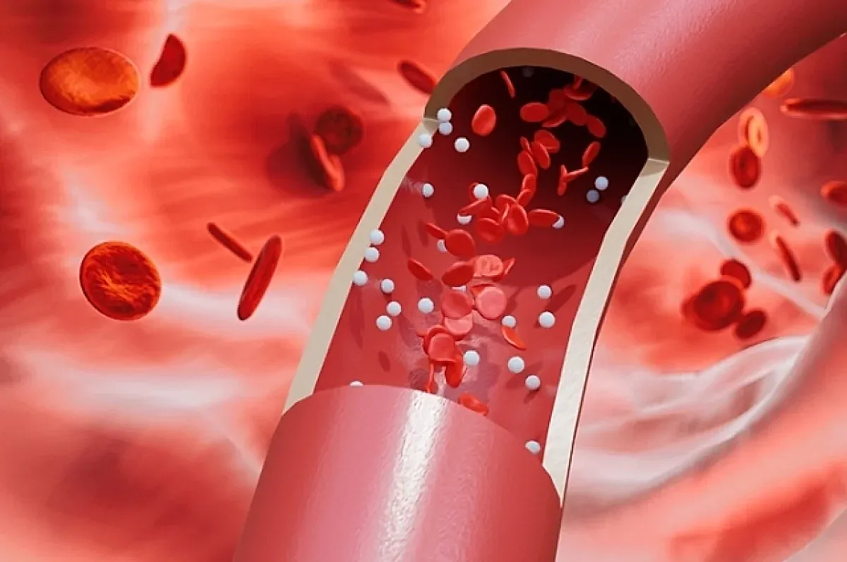 Кортизол и его важнейшая роль