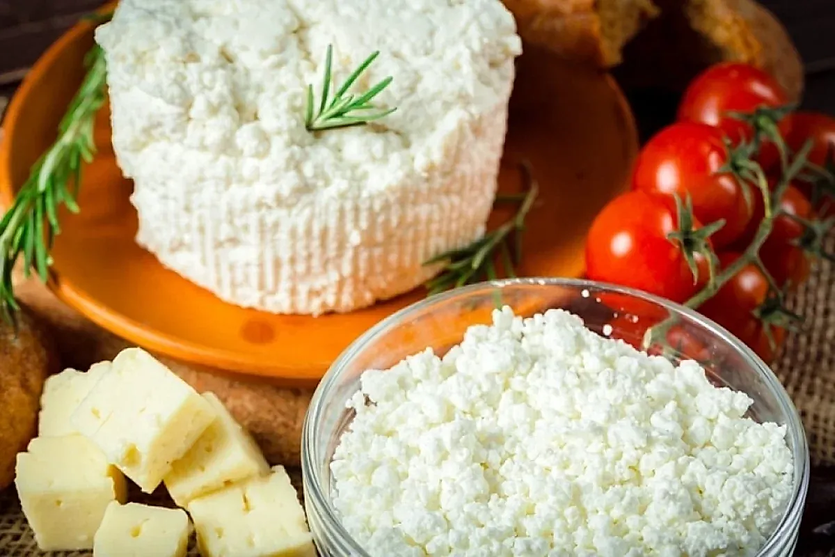 Жареный творог: польза и советы